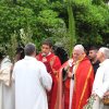 Domenica delle Palme 2014