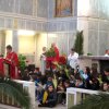 Domenica delle Palme 2014