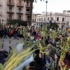 Domenica delle Palme 2015