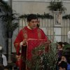 Domenica delle Palme 2015