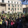 Domenica delle Palme 2016
